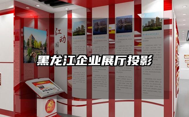 黑龙江企业展厅投影