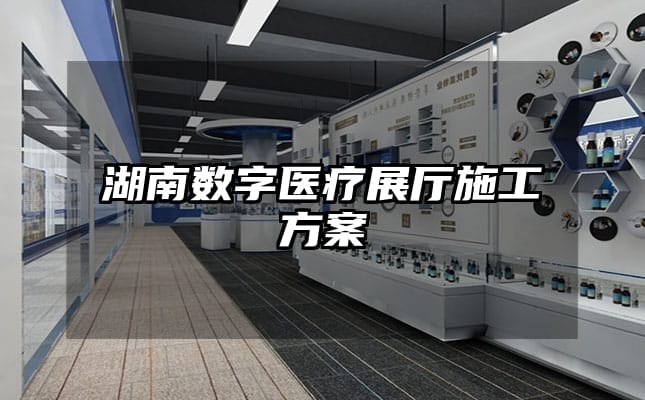 湖南数字医疗展厅施工方案