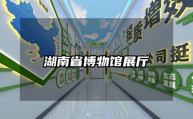 湖南省博物馆展厅