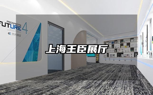 上海王臣展厅