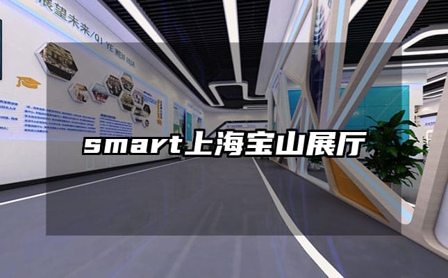 smart上海宝山展厅