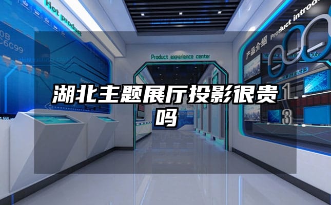 湖北主题展厅投影很贵吗