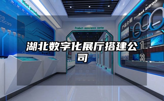 湖北数字化展厅搭建公司