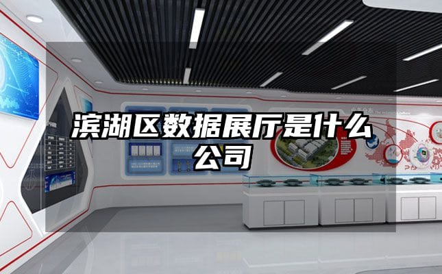 滨湖区数据展厅是什么公司