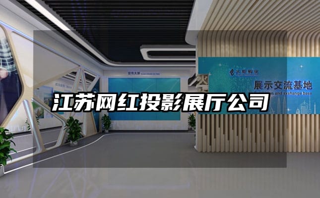 江苏网红投影展厅公司